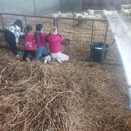 - Fattoria Didattica Caratozzolo Farm stay *