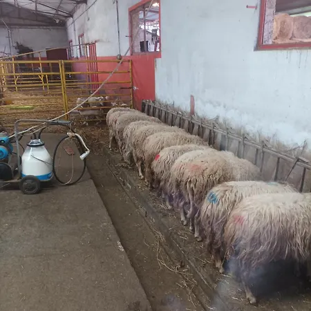 - Fattoria Didattica Caratozzolo Farm stay Colacaruso