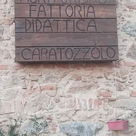 - Fattoria Didattica Caratozzolo *